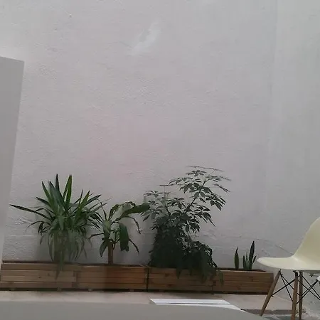 Loft Designed Center *