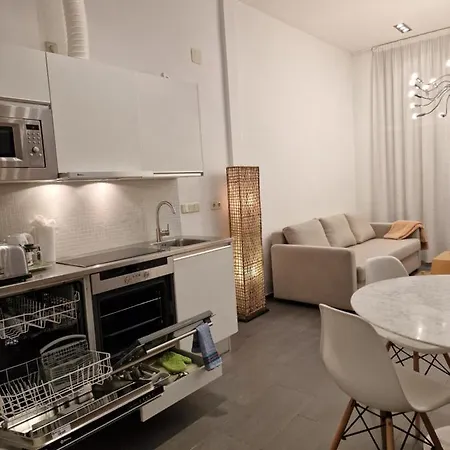Apartment Loft Designed Center Toledo