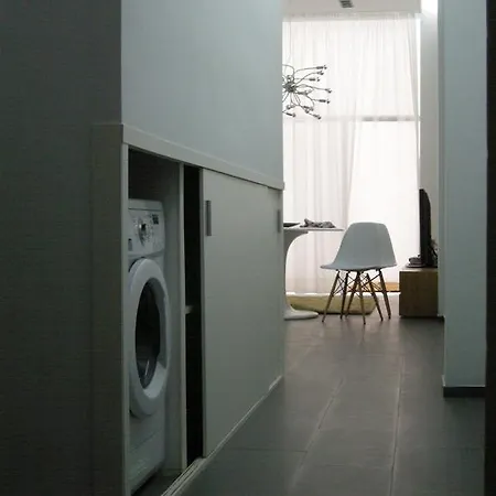 Apartment Loft Designed Center *