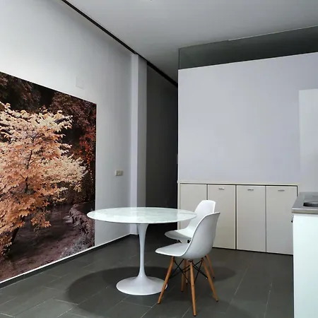Apartment Loft Designed Center *