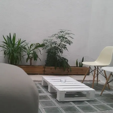 Apartment Loft Designed Center