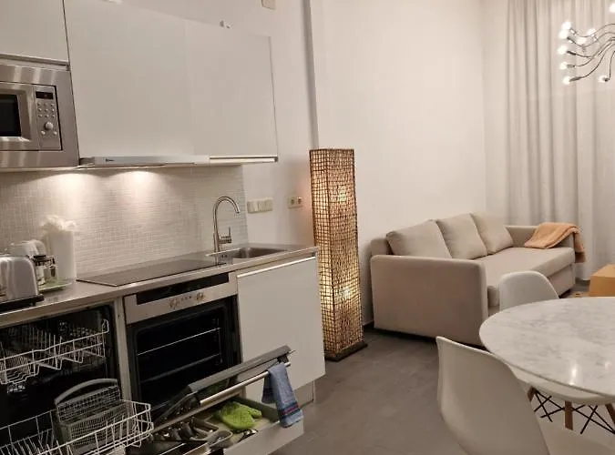 Apartment Loft Designed Center Toledo