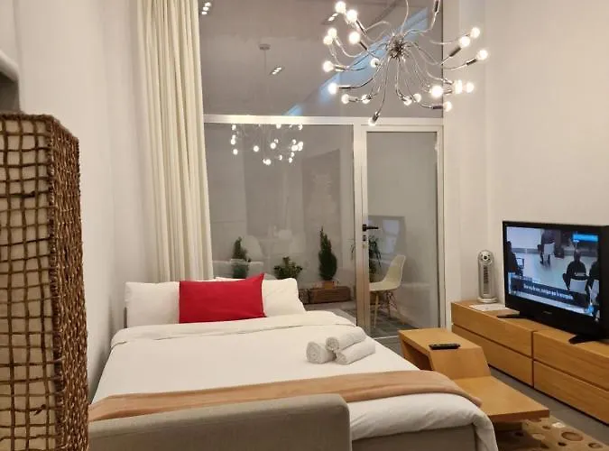 Apartment Loft Designed Center Toledo