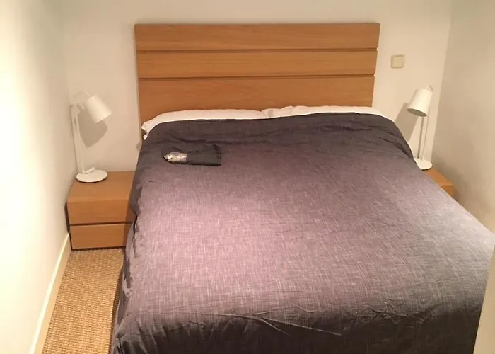 Apartment Loft Designed Center