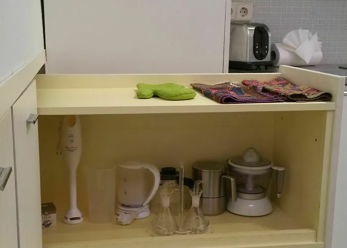 Apartment Loft Designed Center Toledo